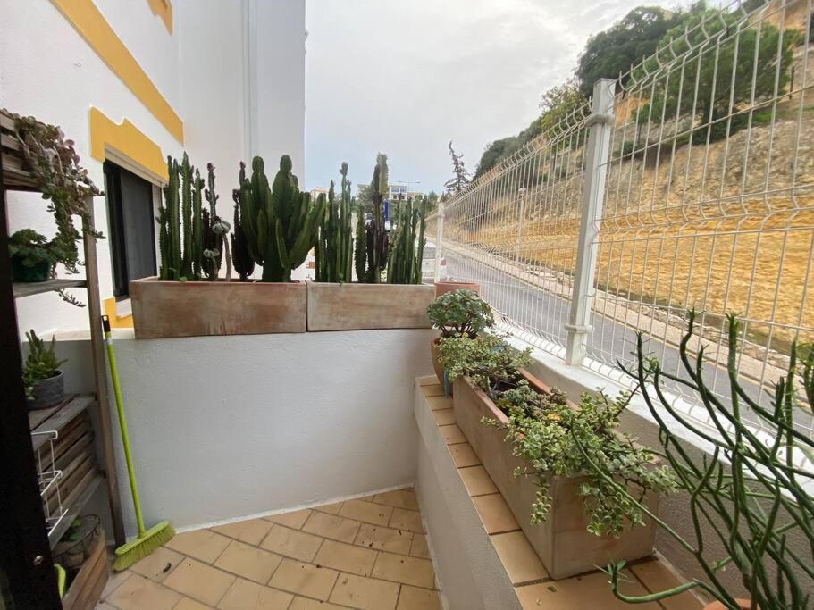Charming Two Bedroom Apartment Carvoeiro  Exterior photo